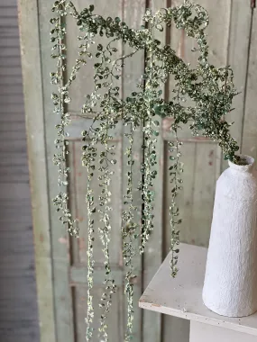 Confetti Vine Branch | 58" | Sage | NOT CURRENTLY IN STOCK-New For Spring 2025!