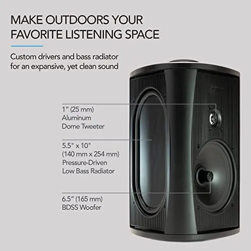 Definitive Technology Outdoor Speaker - 200 Watts, 6.5-inch Woofer, Weather Proof